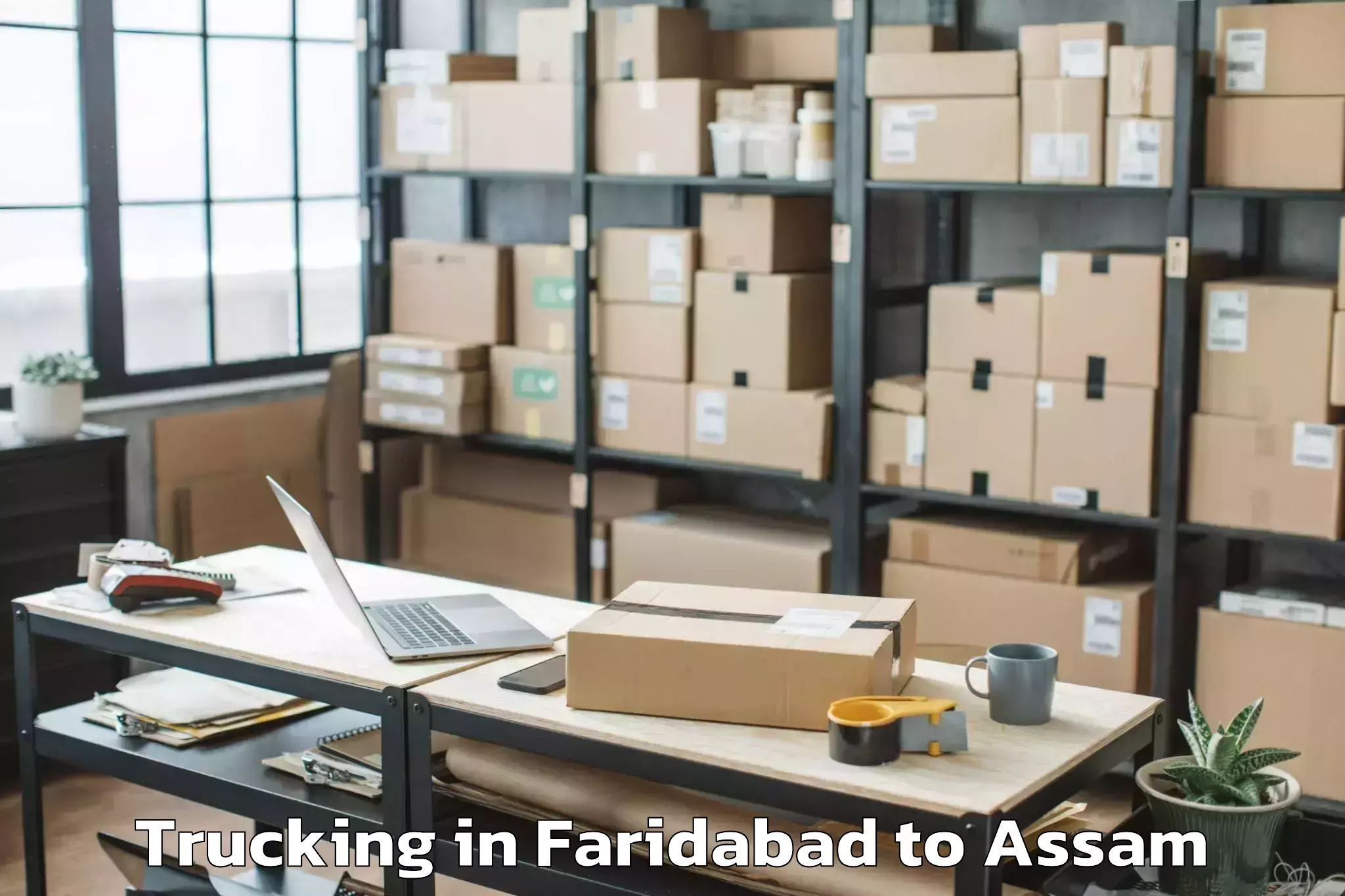 Leading Faridabad to Bokakhat Trucking Provider